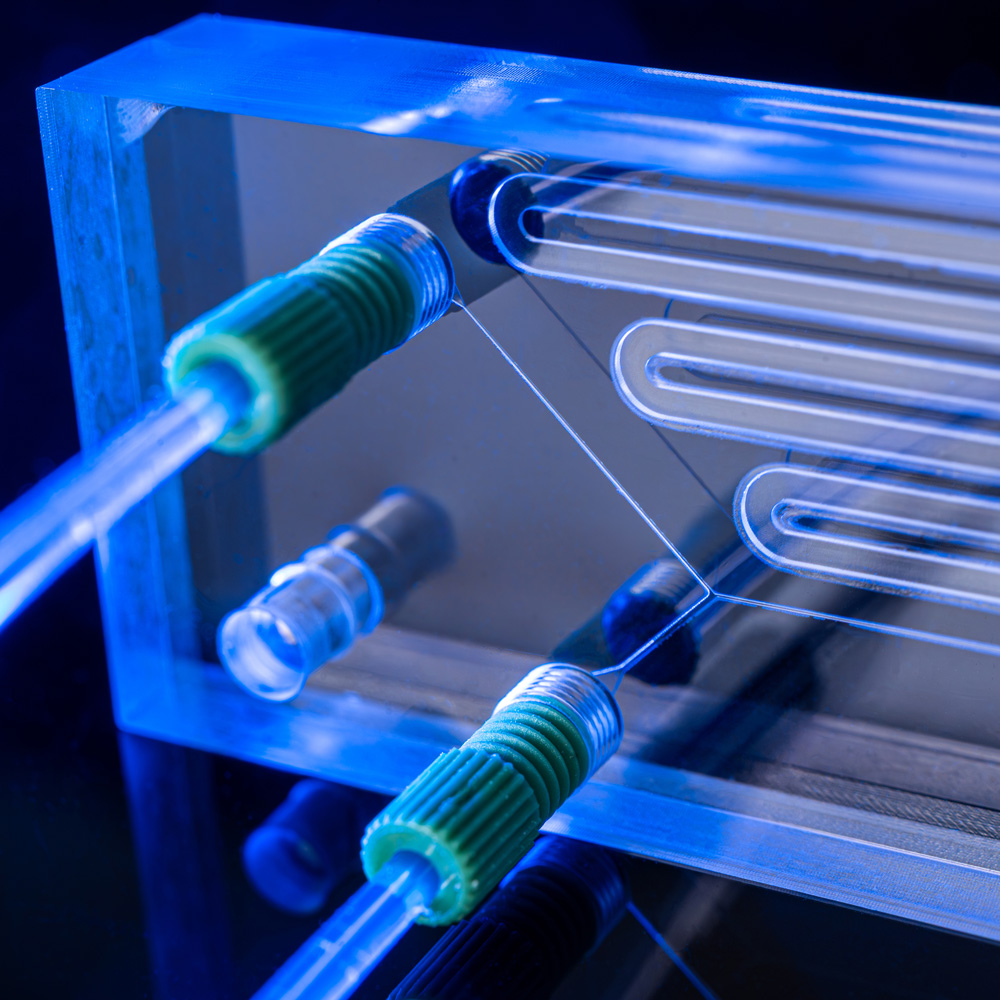 Mikrofluidischer Chip