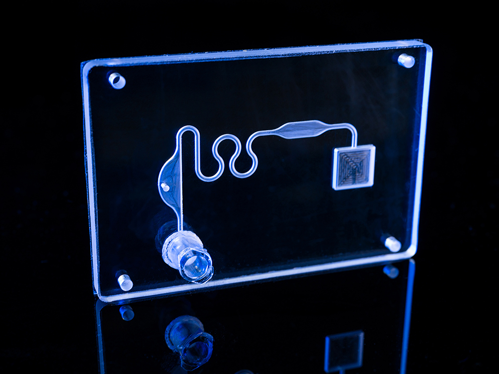 Mikrofluidische Kartusche
