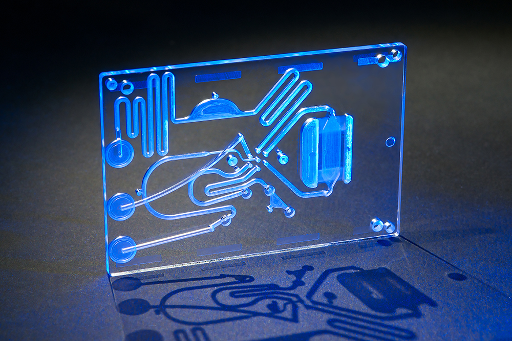 Disposable microfluidic chip Disposable microfluidic chip
